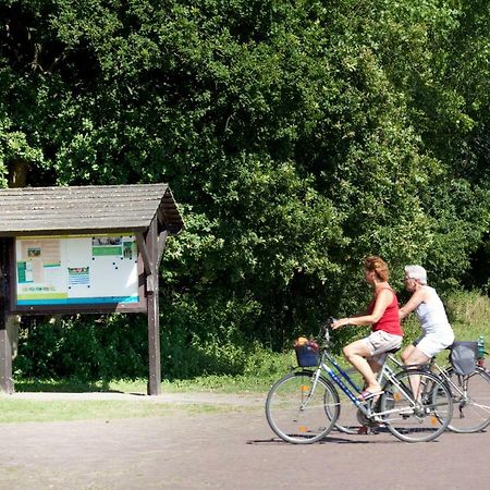 Appartementen - Bungalowpark Mooyeveld - Uniek Gelegen In De Duinen! Egmond Binnen Bagian luar foto