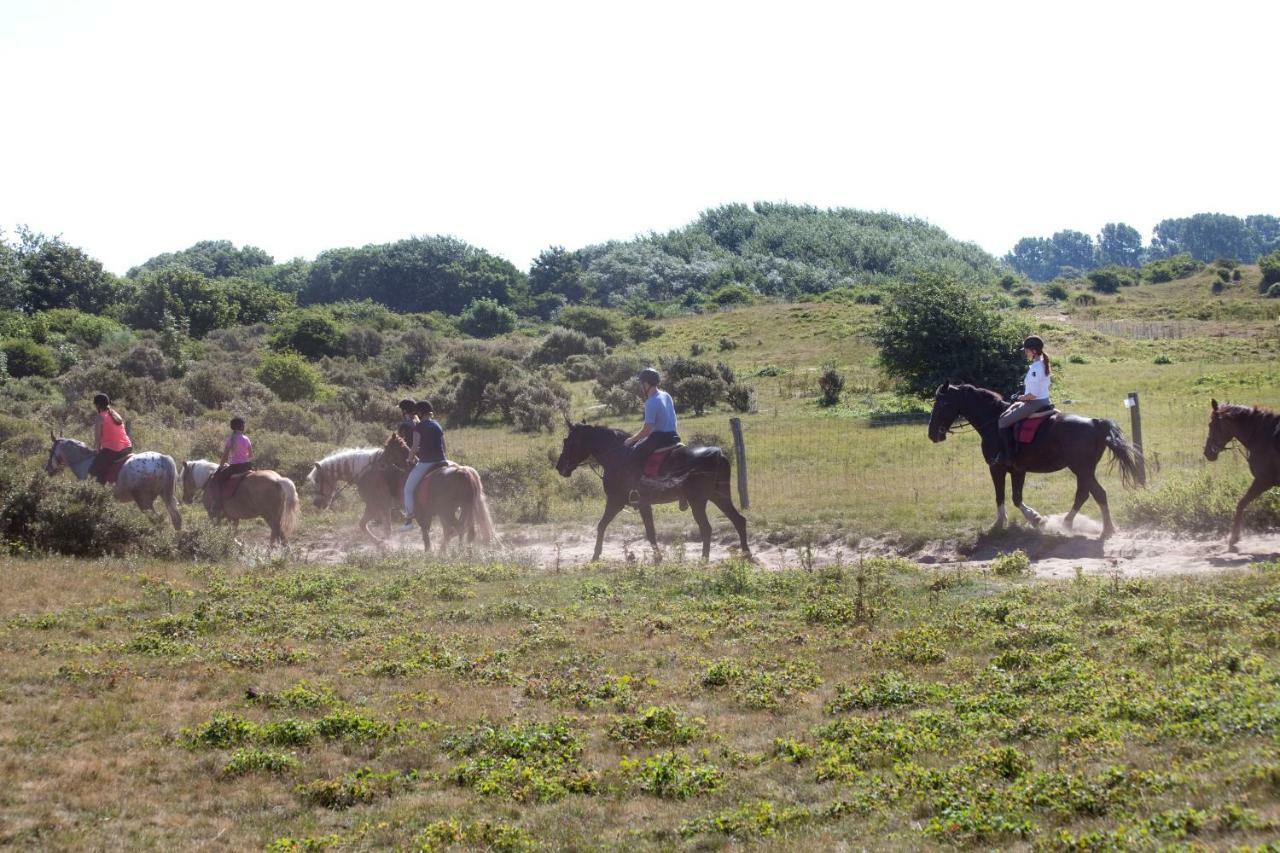 Appartementen - Bungalowpark Mooyeveld - Uniek Gelegen In De Duinen! Egmond Binnen Bagian luar foto
