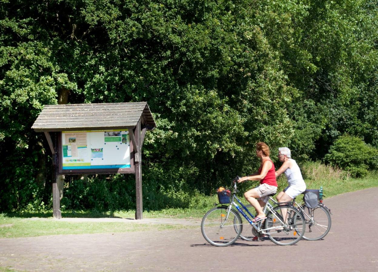 Appartementen - Bungalowpark Mooyeveld - Uniek Gelegen In De Duinen! Egmond Binnen Bagian luar foto