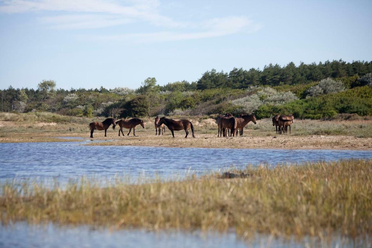 Appartementen - Bungalowpark Mooyeveld - Uniek Gelegen In De Duinen! Egmond Binnen Bagian luar foto